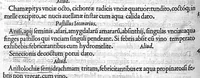 An illustration from Claudii Galeni De antidotis libri duo, a Ioanne Guinterio... Latinitate donati. Eiusdem Galeni De remedijs paratu facilibus liber unus, eodem Ioanne Guinterio interprete (1535)