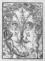 Picture 35 of 35 from Plus quam commentum in Parvam Galeni artem Turisani Florentini medici praestantissimi, cum duplici textus interpretatione, antiqua scilicet et Leoniceni, et ejusdem [Turisani] libello de Hypostasi, opus... quod olim quidem Jul. Martianus Rota,... pluribus auxit et emendavit ; nunc vero... recognitum... additis quibusdam ad eandem rem pertinentibus, denuo imprimendum curavimus. Ea autem sunt : Hali qui eandem Galeni Artem primus exposuit ; Joannitii ad eandem introductio ; Gentilis qui primum ejusdem Artis librum... declaravit ; Nicolai Leoniceni Quaestio de tribus doctrinis... (1557), leaf 521