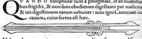 An illustration from Octavii Horatiani Rerum medicarum libri quatuor. I Logicus, de curationibus omnium ferme morborum corporis humani... II. De acutis et chronicis passionibus... III. Gynecia, de mulierum accidentibus et curis eorumdem... IV. De physica scientia, experimentorum liber. Per Heremanum comitem a Neuenar, integro candori nuper restitutus autor. Albucasis,... Libri tres I. De cauterio cum igne et medicinis acutis per singula corporis humani membro... II. De sectione et perforatione phlebotomia, et ventosis ; de vulneribus et extractione sagittarum... III. De restauratione et curatione dislocationis membrorum... (1532)