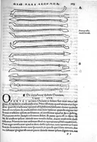 An illustration from Octavii Horatiani Rerum medicarum libri quatuor. I Logicus, de curationibus omnium ferme morborum corporis humani... II. De acutis et chronicis passionibus... III. Gynecia, de mulierum accidentibus et curis eorumdem... IV. De physica scientia, experimentorum liber. Per Heremanum comitem a Neuenar, integro candori nuper restitutus autor. Albucasis,... Libri tres I. De cauterio cum igne et medicinis acutis per singula corporis humani membro... II. De sectione et perforatione phlebotomia, et ventosis ; de vulneribus et extractione sagittarum... III. De restauratione et curatione dislocationis membrorum... (1532)