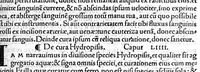 An illustration from Octavii Horatiani Rerum medicarum libri quatuor. I Logicus, de curationibus omnium ferme morborum corporis humani... II. De acutis et chronicis passionibus... III. Gynecia, de mulierum accidentibus et curis eorumdem... IV. De physica scientia, experimentorum liber. Per Heremanum comitem a Neuenar, integro candori nuper restitutus autor. Albucasis,... Libri tres I. De cauterio cum igne et medicinis acutis per singula corporis humani membro... II. De sectione et perforatione phlebotomia, et ventosis ; de vulneribus et extractione sagittarum... III. De restauratione et curatione dislocationis membrorum... (1532)