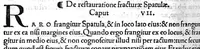 An illustration from Octavii Horatiani Rerum medicarum libri quatuor. I Logicus, de curationibus omnium ferme morborum corporis humani... II. De acutis et chronicis passionibus... III. Gynecia, de mulierum accidentibus et curis eorumdem... IV. De physica scientia, experimentorum liber. Per Heremanum comitem a Neuenar, integro candori nuper restitutus autor. Albucasis,... Libri tres I. De cauterio cum igne et medicinis acutis per singula corporis humani membro... II. De sectione et perforatione phlebotomia, et ventosis ; de vulneribus et extractione sagittarum... III. De restauratione et curatione dislocationis membrorum... (1532)