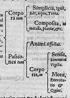 An illustration from In Galeni librum "de Constitutione artis medicae", tabulae et commentarii: per Theodorum Zvinggerum,... Ex quibus rationem inveniendi & constituendi artem quamlibet, juxta resolutivi ordinis leges, (cujus natura, ars & usus multis jam seculis latuit) studiosus Lector facili negotio depromet. Accessit rerum et verborum... memorabilium index (1561)