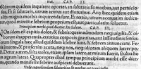 An illustration from Pauli Aeginetae totius rei medicae libri VII. ad profectionem parati, et brevi summa omnem artem complectens. Per Janum Cornarium medicum Physicum Latina lingua conscripti (1556)