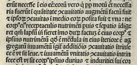 An illustration from Liber canonis primus [-quintus] quem princeps aboali abincenni de medicine edidit : translatum a magistro Gerardo cremonensi in Toledo ab arabico in latinum