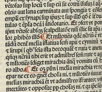 Picture 5 of 28 from Liber canonis primus [-quintus] quem princeps aboali abincenni de medicine edidit : translatum a magistro Gerardo cremonensi in Toledo ab arabico in latinum, leaf 305