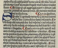 An illustration from Liber canonis primus [-quintus] quem princeps aboali abincenni de medicine edidit : translatum a magistro Gerardo cremonensi in Toledo ab arabico in latinum