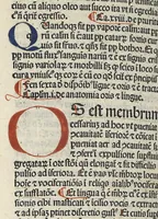 An illustration from Liber canonis primus [-quintus] quem princeps aboali abincenni de medicine edidit : translatum a magistro Gerardo cremonensi in Toledo ab arabico in latinum
