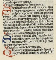 An illustration from Liber canonis primus [-quintus] quem princeps aboali abincenni de medicine edidit : translatum a magistro Gerardo cremonensi in Toledo ab arabico in latinum
