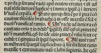 An illustration from Liber canonis primus [-quintus] quem princeps aboali abincenni de medicine edidit : translatum a magistro Gerardo cremonensi in Toledo ab arabico in latinum