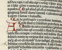 An illustration from Liber canonis primus [-quintus] quem princeps aboali abincenni de medicine edidit : translatum a magistro Gerardo cremonensi in Toledo ab arabico in latinum