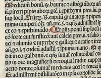 An illustration from Liber canonis primus [-quintus] quem princeps aboali abincenni de medicine edidit : translatum a magistro Gerardo cremonensi in Toledo ab arabico in latinum