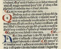 An illustration from Liber canonis primus [-quintus] quem princeps aboali abincenni de medicine edidit : translatum a magistro Gerardo cremonensi in Toledo ab arabico in latinum