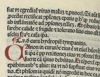 An illustration from Liber canonis primus [-quintus] quem princeps aboali abincenni de medicine edidit : translatum a magistro Gerardo cremonensi in Toledo ab arabico in latinum