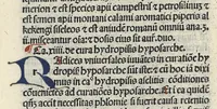 An illustration from Liber canonis primus [-quintus] quem princeps aboali abincenni de medicine edidit : translatum a magistro Gerardo cremonensi in Toledo ab arabico in latinum