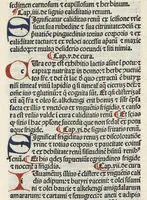An illustration from Liber canonis primus [-quintus] quem princeps aboali abincenni de medicine edidit : translatum a magistro Gerardo cremonensi in Toledo ab arabico in latinum