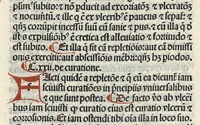 An illustration from Liber canonis primus [-quintus] quem princeps aboali abincenni de medicine edidit : translatum a magistro Gerardo cremonensi in Toledo ab arabico in latinum