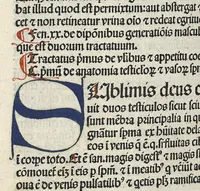 An illustration from Liber canonis primus [-quintus] quem princeps aboali abincenni de medicine edidit : translatum a magistro Gerardo cremonensi in Toledo ab arabico in latinum