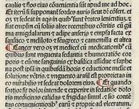 An illustration from Liber canonis primus [-quintus] quem princeps aboali abincenni de medicine edidit : translatum a magistro Gerardo cremonensi in Toledo ab arabico in latinum