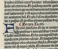 An illustration from Liber canonis primus [-quintus] quem princeps aboali abincenni de medicine edidit : translatum a magistro Gerardo cremonensi in Toledo ab arabico in latinum
