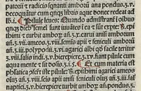 An illustration from Liber canonis primus [-quintus] quem princeps aboali abincenni de medicine edidit : translatum a magistro Gerardo cremonensi in Toledo ab arabico in latinum