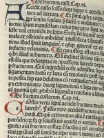 An illustration from Liber canonis primus [-quintus] quem princeps aboali abincenni de medicine edidit : translatum a magistro Gerardo cremonensi in Toledo ab arabico in latinum