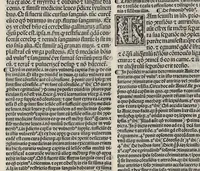 An illustration from Comm. Avicenne Canon IV 3-5