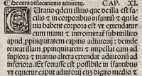 An illustration from Comm. Avicenne Canon IV 3-5