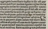 An illustration from Comm. Avicenne Canon IV 3-5