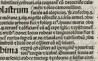 An illustration from Comm. Avicenne Canon IV 3-5
