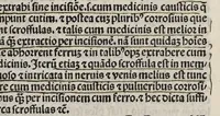 An illustration from Comm. Avicenne Canon IV 3-5