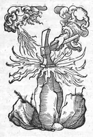 Picture 1 of 5 from Summi in omni philosophia uiri Constantini Africani medici operum reliqua, hactenus desiderata, nuncq[ue] primum impressa ex uenerandæ antiquitatis exemplari, quod nunc demum est inuentum. In quibus omnes communes loci, qui propriè Theorices sunt, ita explicantur & tractantur, ut medicum futurum optimè formare & perficere possint: Quaecun[que] enim Galenus iustò fusius habet clara & docta breuitate perstringit, & apud Hippocratem obscurioribus mirabilem lucem addit, disciplinarum omnium, precipuè dialectices praesidijs instructissimus autor (1539), leaf 0