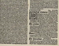An illustration from Excellentissimi medici Guilielmi Brixiensis aggregatoris dictorum illustrium medicorum ad unamquamque egritudinem a capite ad pedes practica, nunc primum ad communem usum edita et impressa. Ejusdem de febribus tractatus optimus, de peste, de consilio observando tempore pestilentiali, ac etiam de cura pestis tractatus perspicuus ejusdem (1508)
