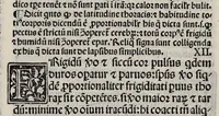 An illustration from Expositio Ugonis Senensis super libros Tegni Galieni