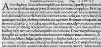 An illustration from De remedica opus insigne (1549)