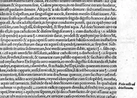 An illustration from De remedica opus insigne (1549)