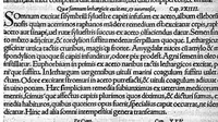 An illustration from De remedica opus insigne (1549)