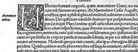 An illustration from De remedica opus insigne (1549)