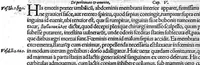An illustration from De remedica opus insigne (1549)