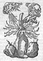 An illustration from De remedica opus insigne (1549)