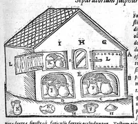 Picture 25 of 71 from Alchymiae (1606), leaf 384