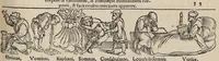 An illustration from Tacuini sanitatis (1531)