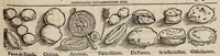 An illustration from Tacuini sanitatis (1531)