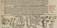 An illustration from Tacuini sanitatis (1531)