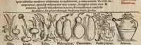 An illustration from Tacuini sanitatis (1531)