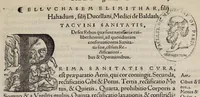 An illustration from Tacuini sanitatis (1531)