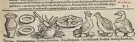 Picture 16 of 45 from Tacuini sanitatis (1531), leaf 64