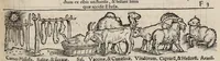 Picture 17 of 45 from Tacuini sanitatis (1531), leaf 66