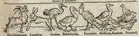 An illustration from Tacuini sanitatis (1531)