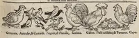 Picture 19 of 45 from Tacuini sanitatis (1531), leaf 70